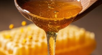 วิธีบำรุงผิวกระจ่างใสด้วยน้ำผึ้งแท้