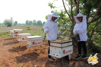 ฟาร์มผึ้ง-5