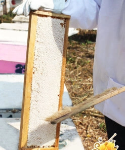 รวงผึ้งแบบเฟรม ขนาดต่อเฟรม 1.5-1.7 กก.(บรรจุในกล่อง 9 เฟรม)